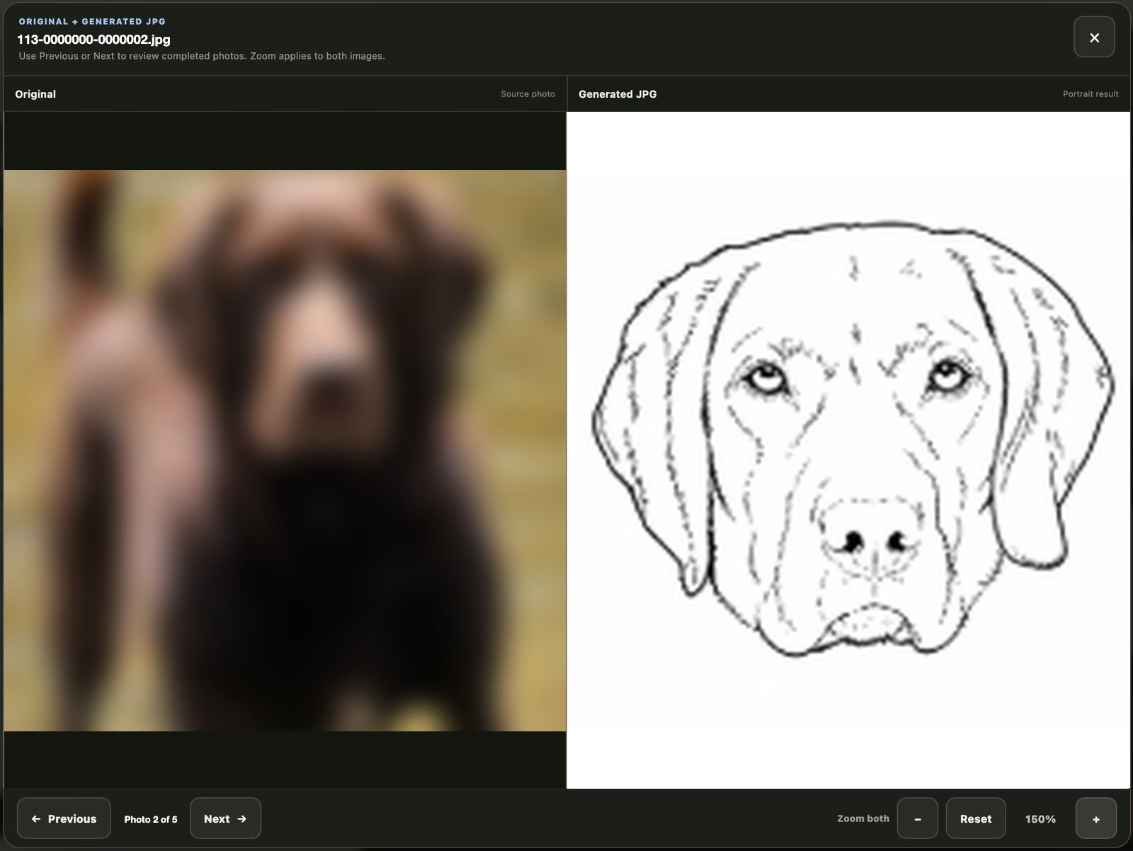 Compare view: the blurred customer photo on the left and the line drawing generated from it on the right, with Previous and Next buttons and shared zoom controls
